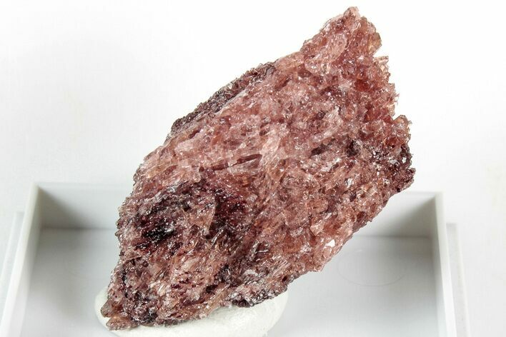 Lustrous Red/Pink Edenite Specimen - Tanzania #317057